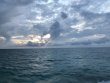 Saturday November 3rd 2018 Tropical Serenity: Molasses Reef reef report photo 1