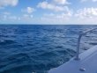 Monday November 5th 2018 Tropical Serenity: North Star reef report photo 1