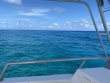 Friday August 28th 2020 Tropical Serenity: Pickles Reef reef report photo 1