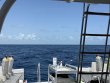Monday August 14th 2023 Tropical Voyager: Spiegel Grove reef report photo 1