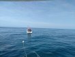 Saturday June 17th 2017 Tropical Voyager: Benwood Wreck reef report photo 1