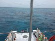 Sunday August 27th 2017 Tropical Voyager: ChristmasTree Cave reef report photo 1