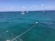 Monday April 2nd 2018 Tropical Voyager: Benwood Wreck reef report photo 1