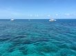 Monday August 11th 2014 Tropical Voyager: Christ Statue reef report photo 1
