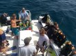 Sunday August 17th 2014 Tropical Voyager: Woodys reef report photo 1
