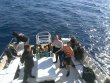 Friday November 7th 2014 Tropical Voyager: USCGC Duane reef report photo 1